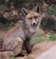 /album/fotogaleria/images-8-jpg/